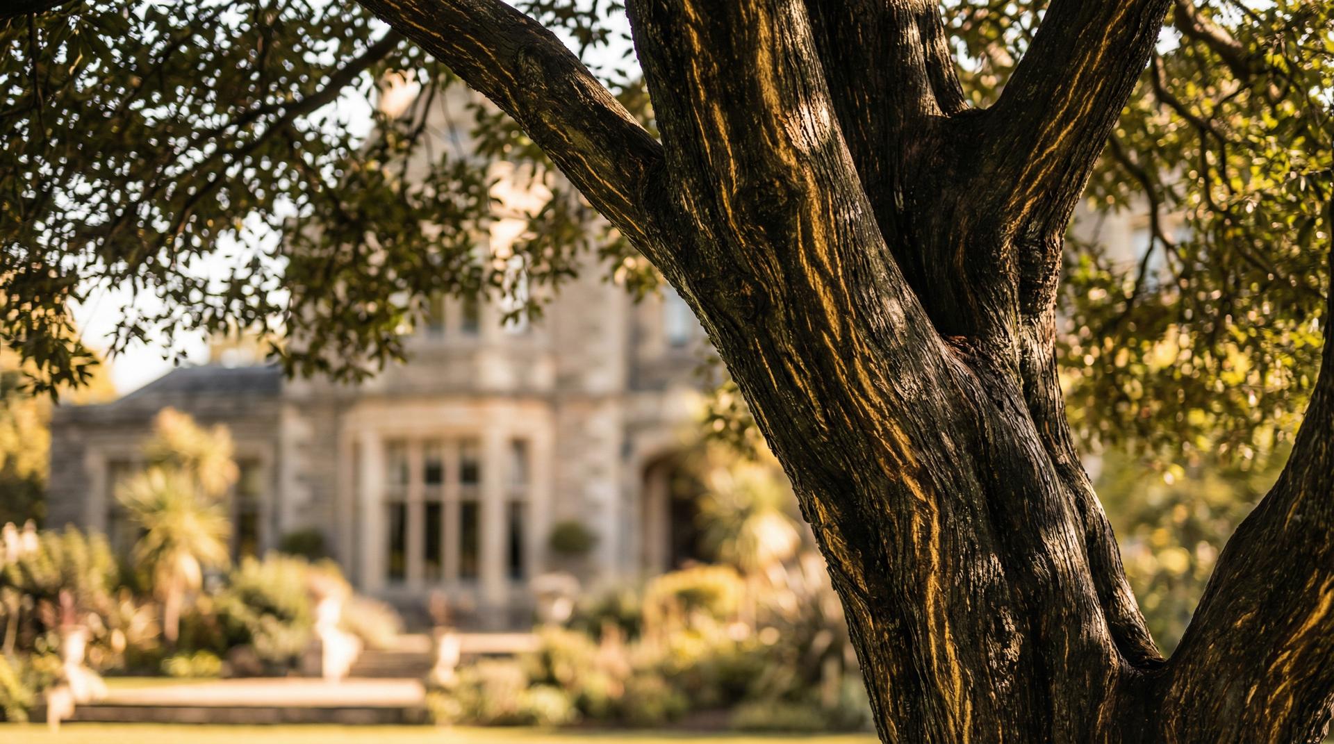 国产视频植物视频展示-珍稀植物